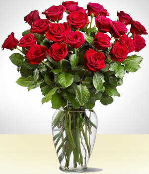 Flores a Repblica Dominicana Majestic Rojo de 24 Rosas