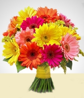 Flores :  - Mirage: Arreglo Multicolor  de Gerberas