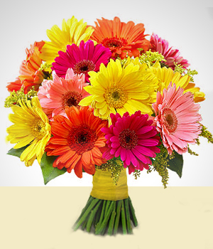 Flores a  Mirage: Arreglo Multicolor  de Gerberas