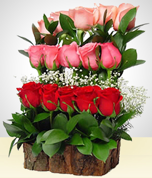 Flores a  Cataratas de ensueño con 15 Rosas