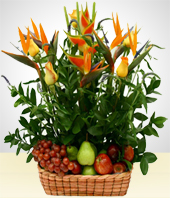 Arreglos Florales - Arreglo: Naturalismo con Frutas