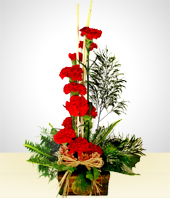 Arreglos Florales - Insaciable: 12 Claveles Rojos en Base Rústica