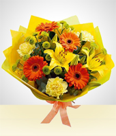 Flores : Repblica Dominicana - Bouquet Primaveral: Gerberas y Claveles