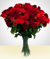 Bouquet - Bouquet Eternidad de 50 Rosas