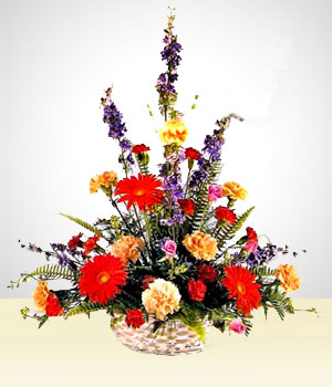 Flores a  Celestial: Claveles Multicolores